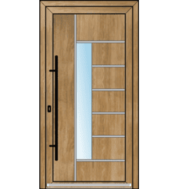 Plastové vchodové dveře INOX – na míru, standartní termín výroby - Vchodové plastové dveře INOX 2013 – standartní termín výroby - 241680180
